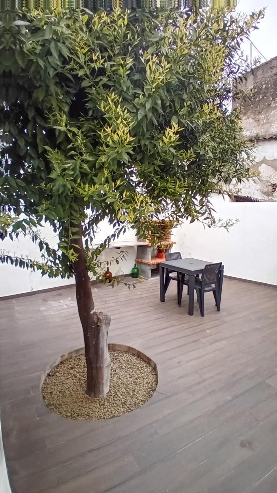 Apartment In Semeador 波塔莱格雷 外观 照片